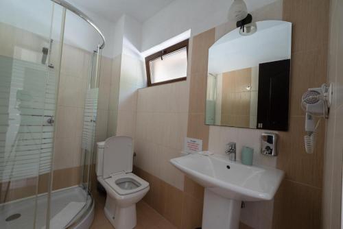 a bathroom with a sink and a toilet and a shower at Casa Aless Eselnita Adults Only 14 plus in Eşelniţa