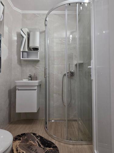 a shower in a bathroom with a toilet and a sink at Garden Terrace Apartment in Igalo