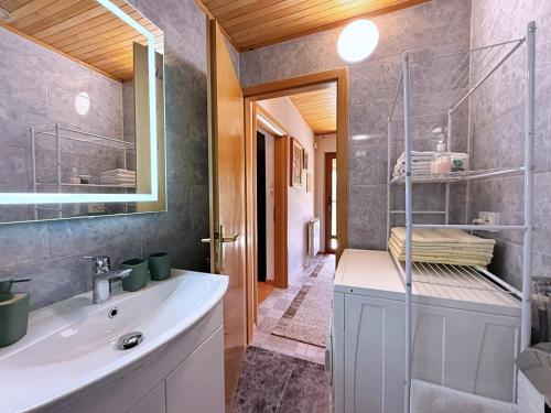 a bathroom with a sink and a glass shower at Apartments Nevenka K. in Čižići