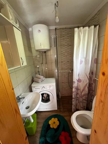 a small bathroom with a sink and a washing machine at Kutak za dušu in Mojkovac
