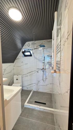 a bathroom with a shower and a toilet and a sink at Alamabari Inn in Kobuleti