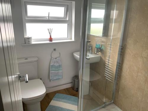 a bathroom with a shower and a toilet and a sink at 9 Ty Du Road in Caernarfon