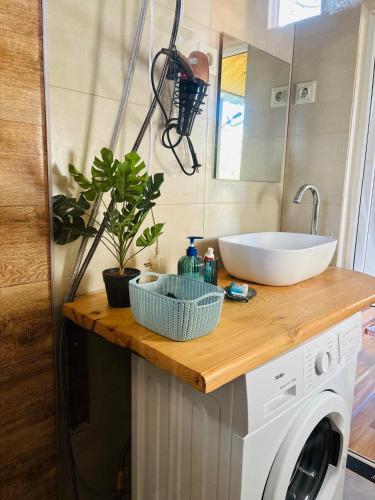 a bathroom with a sink and a washing machine at DEDULETI დედულეთი in Ambrolauri