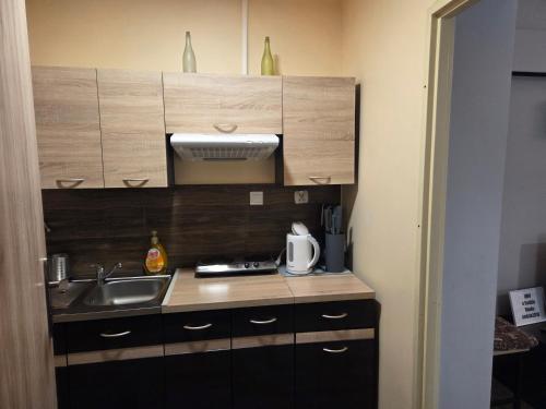 a kitchen with a sink and a counter top at Apartamenty u Bodzia in Stronie Śląskie