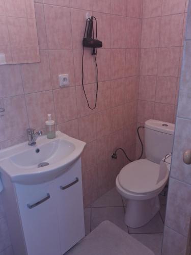 a bathroom with a toilet and a sink at Pod jedľou in Liptovský Trnovec