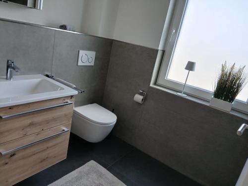 a bathroom with a toilet and a sink and a window at Ferienwohnung Sägmühlweiher in Ludwigswinkel