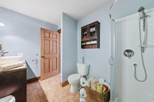 a bathroom with a toilet and a shower at Spa Pool table Mountain - Chalet Avalanche in Saint-Philémon