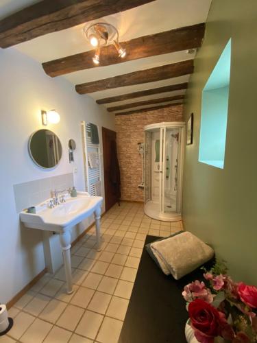 a bathroom with a sink and a walk in shower at Mon Repos, onze sfeervolle gîte in Haims