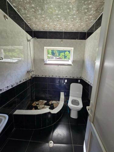 a bathroom with a toilet and a sink at Nakra Tower GuestHouse in Mestia