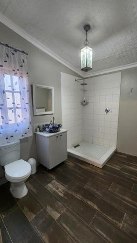 a bathroom with a toilet and a shower and a sink at FinchDen House in Bulawayo