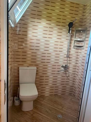 a bathroom with a toilet and a wooden wall at Cottage Sandro in Kobuleti