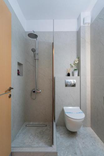 a bathroom with a shower with a toilet in it at Kaplanis House in Neos Marmaras