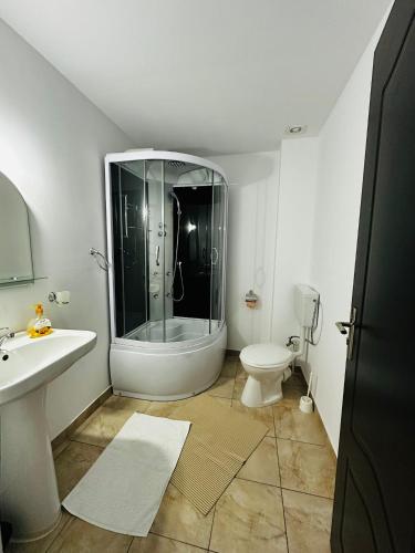 a bathroom with a shower and a sink and a toilet at pensiunea delta ideal in Sulina