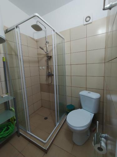 a bathroom with a shower and a toilet at SEA SKY View in Byala