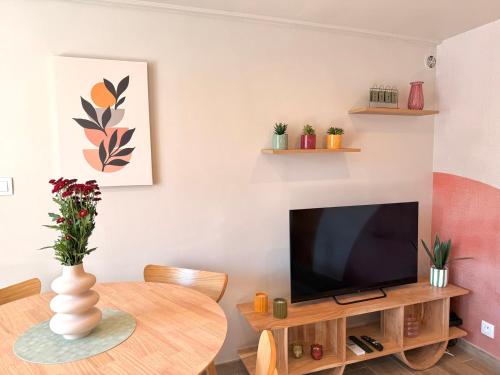 a living room with a television on a table at Les Terres Beaujolaises in Belleville-en-Beaujolais