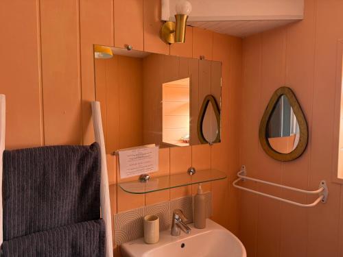 a bathroom with a sink and a mirror at L eau douce in Ménétréol-sous-Sancerre