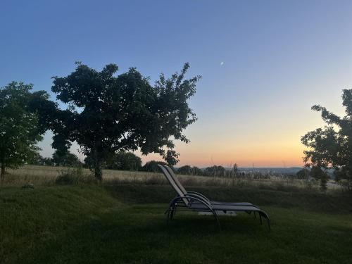 a bench sitting in the grass in a field at Tinyhaus Ferien in Eggolsheim
