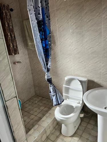 a bathroom with a shower with a toilet and a sink at Esthemers Royal Hotel in Brunkum