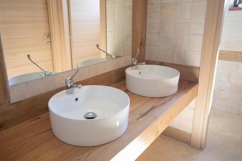 a bathroom with a white sink and a mirror at Tenuta Terre dei Latini in Segni