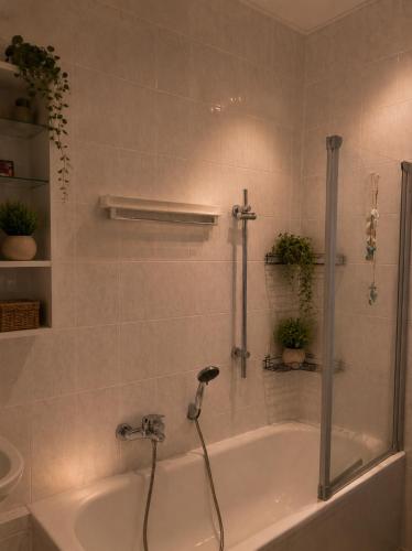 a bathroom with a bath tub with a shower at Adam's Pension in Chemnitz