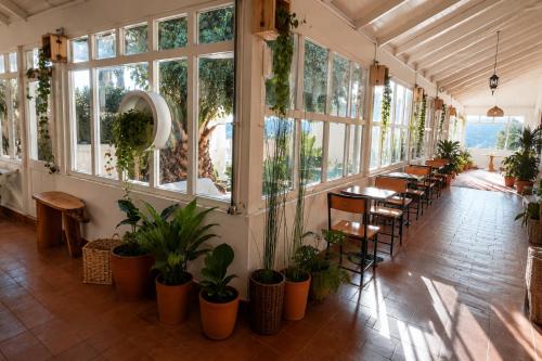 a room with tables and chairs and windows and plants at Silvestre Hostel in Pichilemu