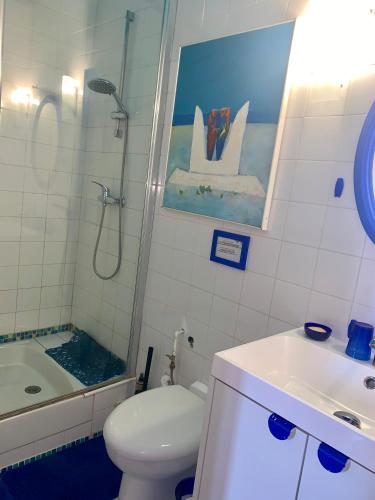 a bathroom with a toilet and a shower and a sink at Chambres d'hôtes Le Regent in Hyères