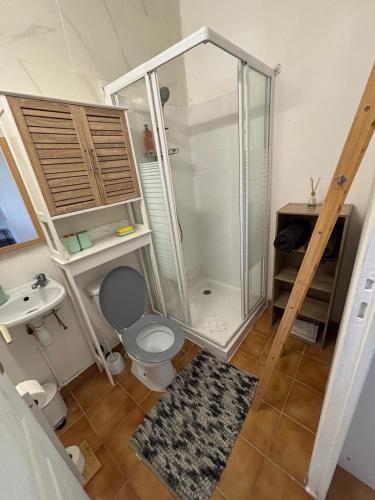 a bathroom with a shower and a toilet and a sink at Tamaly's Lodges in Basse-Terre