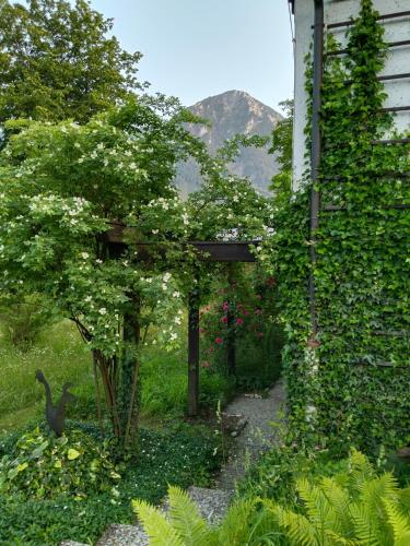 Ferienwohnung Wilder Garten in Bad Aussee mit Gartenbenutzung