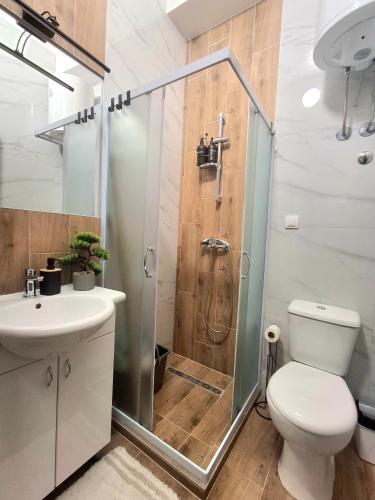 a bathroom with a shower and a toilet and a sink at Horizont 360 Gold in Vrnjačka Banja