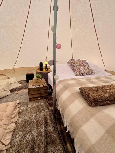 a bedroom with a bed in a tent at Rampestreken Glamping in Åndalsnes