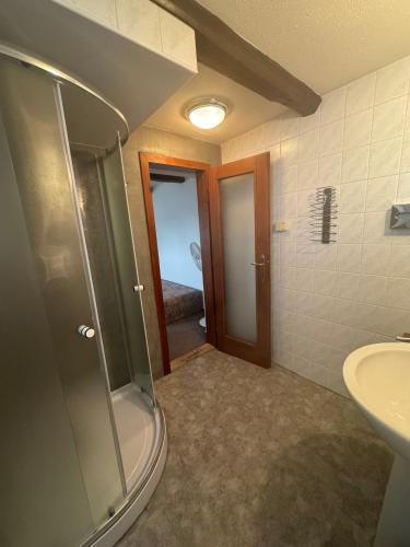 a bathroom with a shower and a sink at Penzion Tamara in Vilémov