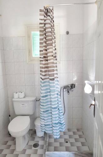a bathroom with a toilet and a shower curtain at Emporios Blue Apartment in Emborios