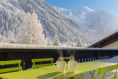 In the Heart of Chamonix duplex view Mont-Blanc photo 5