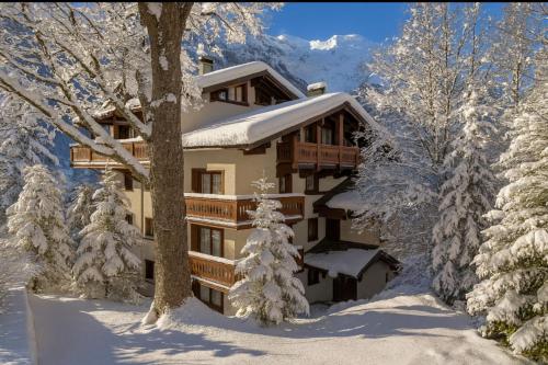 In the Heart of Chamonix duplex view Mont-Blanc photo 12