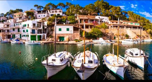 a group of boats are docked in a harbor at Oliver Santiago Mallorca in Cala Figuera