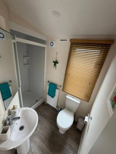 a bathroom with a white toilet and a sink at Coastal Escape Bude Resort in Bude