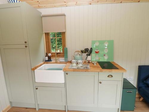 eine Küche mit Spüle und Arbeitsplatte in der Unterkunft Cwtch Y Bugail 2 in Llandeilo