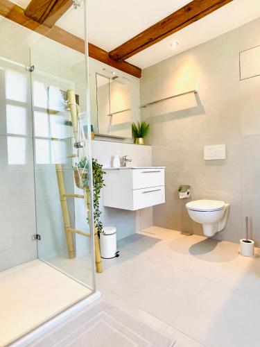 a bathroom with a toilet and a glass shower at Appartement "Loft Seeliebe" in Kreuzlingen