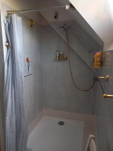 ein Badezimmer mit Dusche und Duschvorhang in der Unterkunft Chez Patrick in Maizet