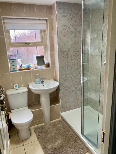 a bathroom with a toilet and a sink and a shower at The Purrfect Creative Retreat in Gainsborough