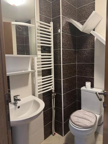 a small bathroom with a toilet and a sink at Golden Lux in Berane