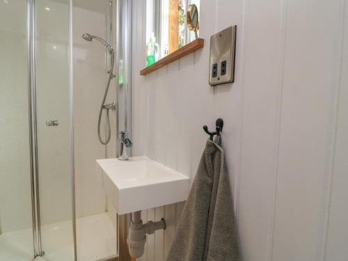 a bathroom with a sink and a shower at Bramleys in Taunton