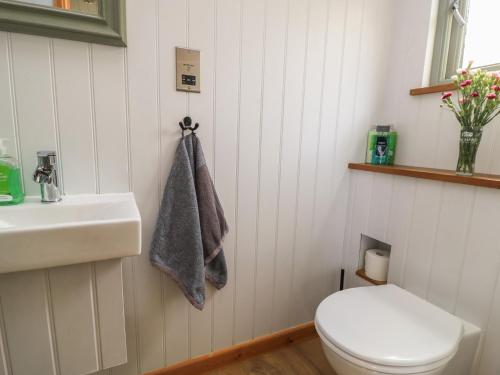 a bathroom with a toilet and a sink at Damsons in Taunton