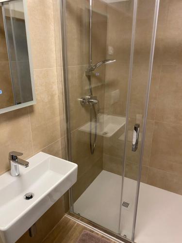 a shower with a glass door next to a sink at Apartment Sinčić in Novigrad Istria