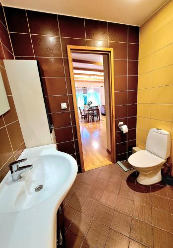 a bathroom with a sink and a toilet at 50 ruutmeetrit in Tallinn