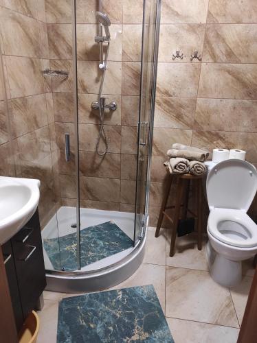 a bathroom with a shower with a toilet and a sink at Pokoje Mirów1A in Mirów