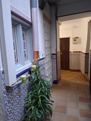 La Casa de Alicia