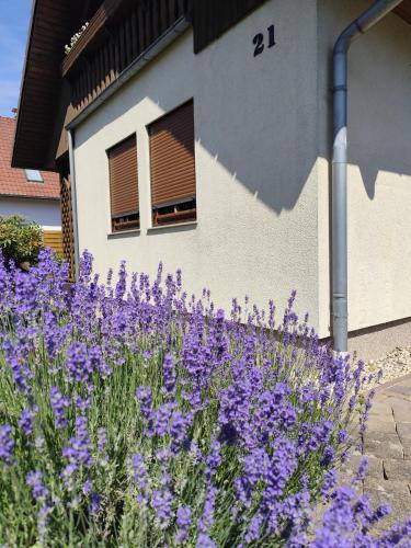 a field of purple flowers in front of a building at Ferienhaus Villa Waldblick in Kolkwitz