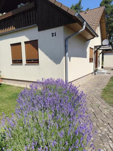 a house with purple flowers in front of it at Ferienhaus Villa Waldblick in Kolkwitz
