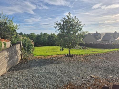 a tree sitting in the middle of a driveway at Cottage on the hill in Carlow